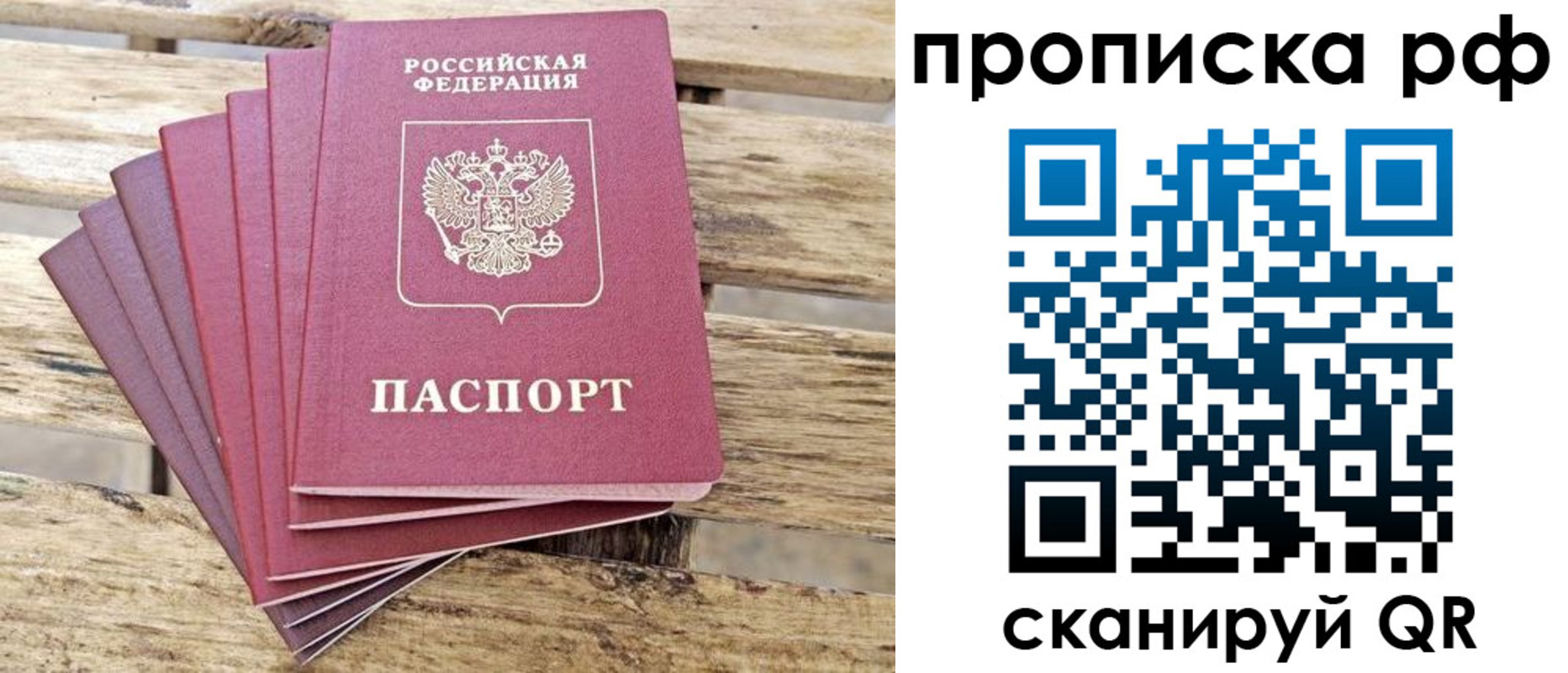 прописка гарантия в Королёве